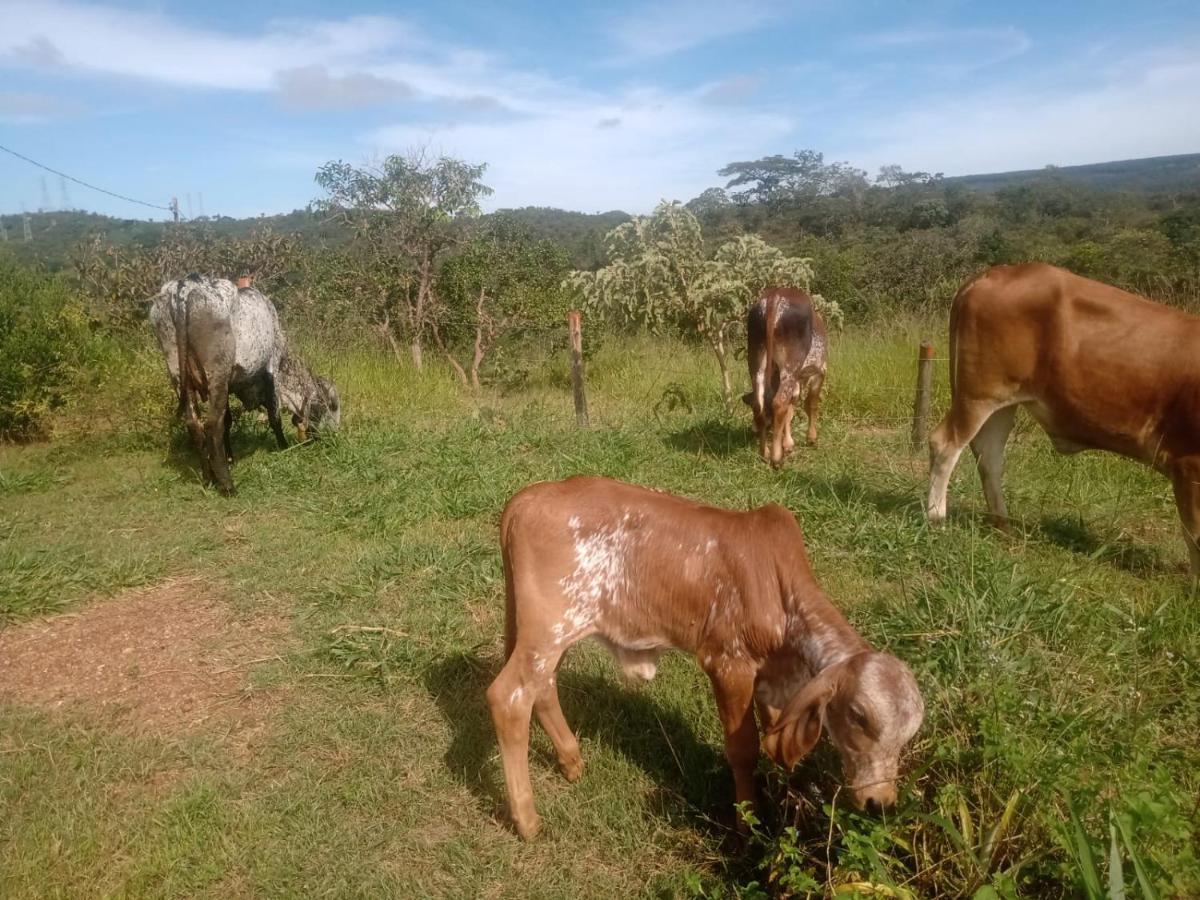 Chalé aconchegante, pertinho da cidade e conectada a natureza Brasilia Esterno foto